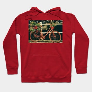 a vintage bike ride Hoodie